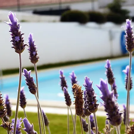 Hébergement de vacances Paradise Areia Branca Lourinhã