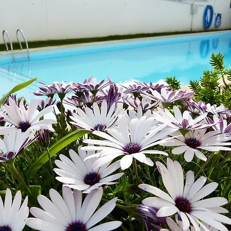 Hébergement de vacances Paradise Areia Branca
